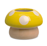 Mushroom Mood