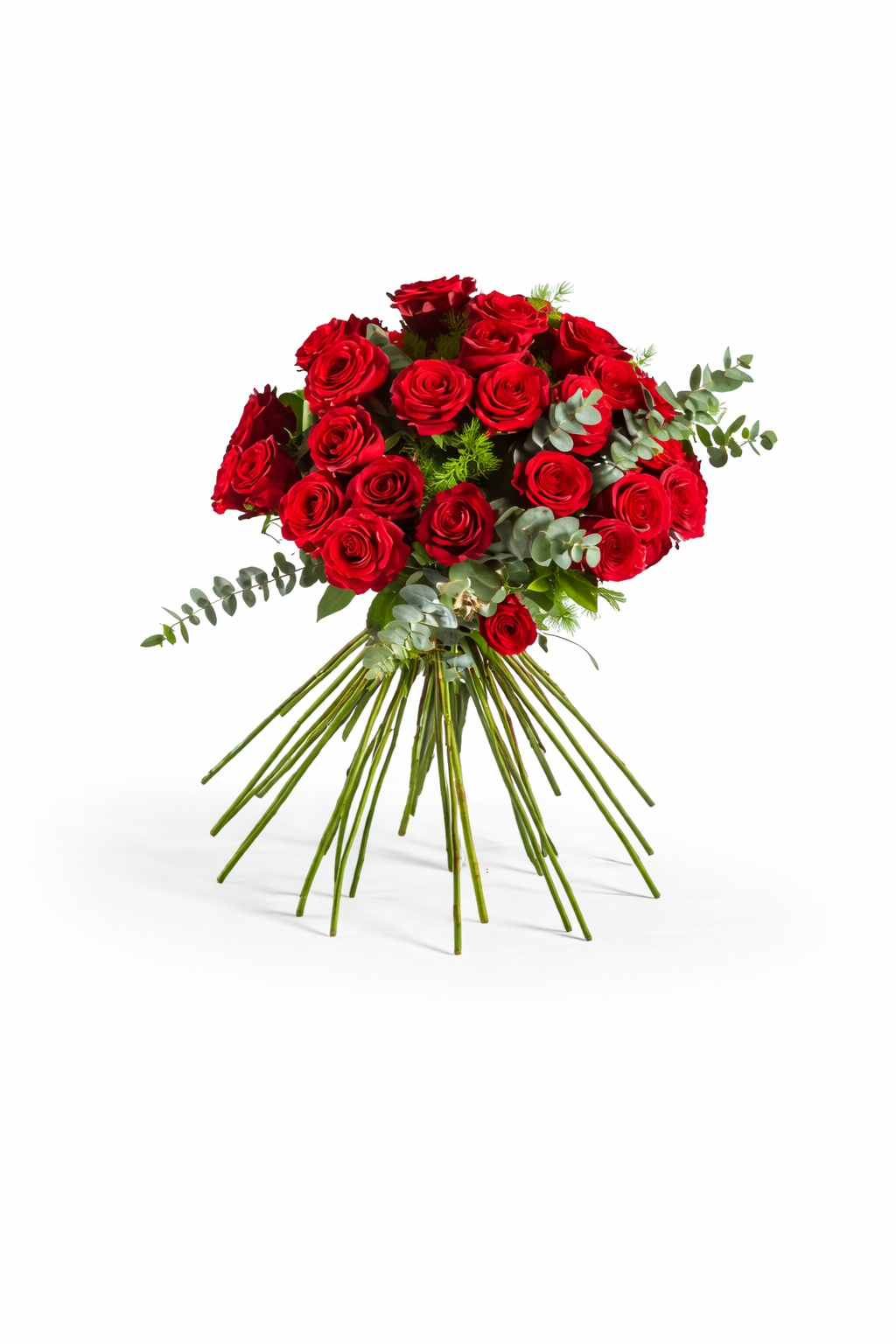 50 Κόκκινα Τριαντάφυλλα – Grande Romance
